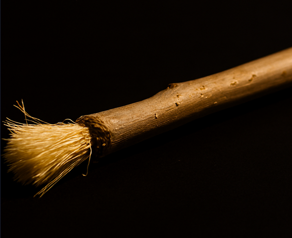 Miswak Our Daily Ritual